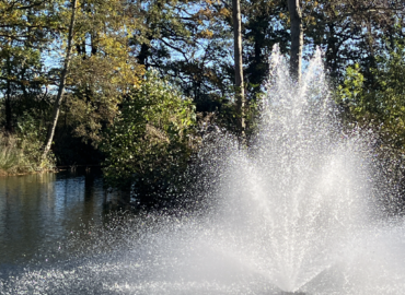 Fountain spraying water in tranquil lake setting surrounded by mature woodland at Woodland Lakes Holiday Lodges.
