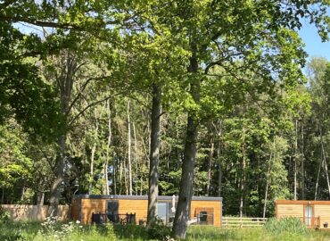 Rowan Boutique Lodge surrounded by mature woodland and greenery, featuring wooden lodges in a tranquil setting, ideal for couples and dogs.