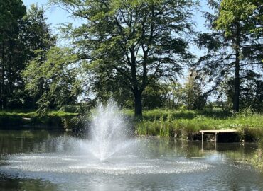 Fountain spraying water in serene lake setting surrounded by lush greenery, highlighting the tranquil atmosphere of Woodland Lakes Holiday Lodges.