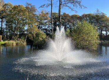 Fountain spraying water in a tranquil lake setting surrounded by trees, enhancing the scenic view from the Rowan Boutique Lodge at Woodland Lakes Holiday Lodges.