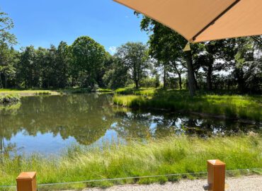 Scenic view of a tranquil lake surrounded by lush greenery and mature trees, ideal for couples seeking a romantic getaway at the Rowan Boutique Lodge.